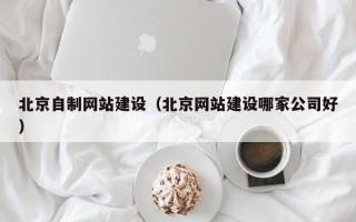 响水北京自制网站建设（北京网站建设哪家公司好）